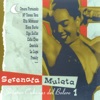 Serenata Mulata - Señoras Cubanas del Bolero, Vol. 1