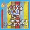 40 Años 40 Éxitos de Serenata Guayanesa