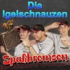 Spaßbremsen - Single