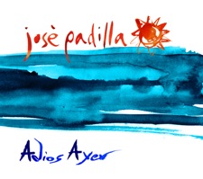 Adios Ayer (Paul Daley Remix) artwork