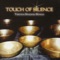 Touch of Silence - Klaus Wiese lyrics