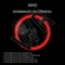 Dommages De Cerveau - Aiho lyrics