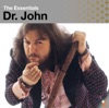 The Essentials: Dr. John artwork