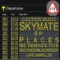 Places - Skymate lyrics