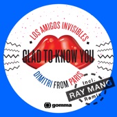 Los Amigos Invisibles - Glad to Know You