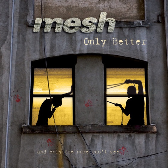 Cover artwork for Only Better (Gritty)