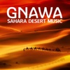 Gnawa - Sahara Desert Music