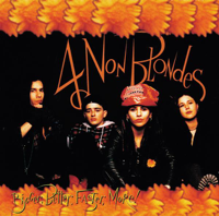 4 Non Blondes - What's Up artwork