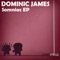 Solo - Dominic James lyrics