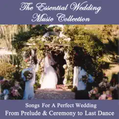 Angel In My Arms (Pop Vocal - Father Daughter Wedding Dance Song) Song Lyrics
