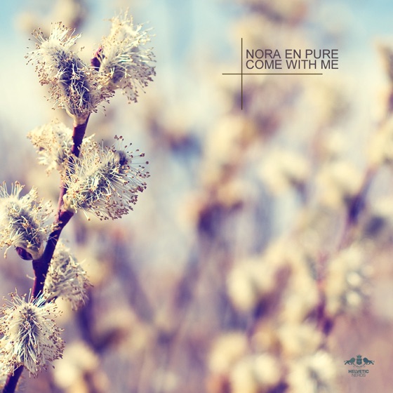 Cover artwork for Come With Me (Radio Mix)