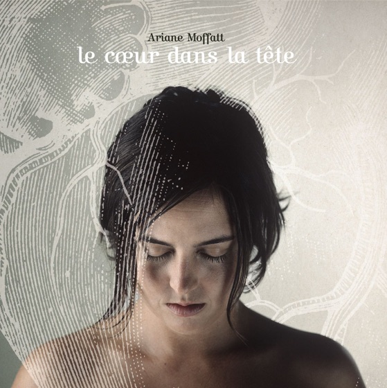 Cover artwork for Combustion lente