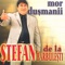 Baiatul Meu - Stefan de la Barbulesti lyrics