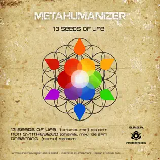 descargar álbum Metahumanizer - 13 Seeds Of Life