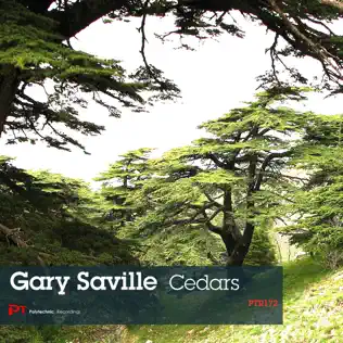 baixar álbum Gary Saville - Cedars