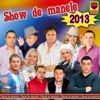 Show De Manele 2013, 2013