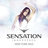 Sensation Innerspace New York 2012 artwork