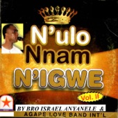 N'ulo Nam Nigwe - Vol 11 artwork