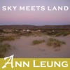 Sky Meets Land - Single