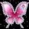 Butterfly - Vega Orgel lyrics