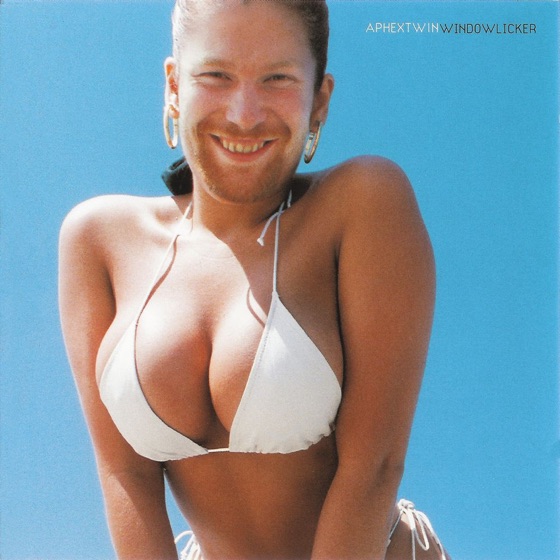 Cover artwork for Windowlicker