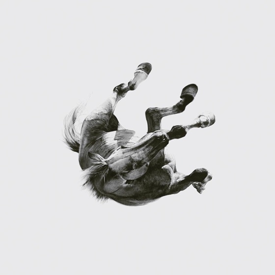 Cover artwork for You Belong Here