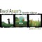 The Seagull (Fiskmas) / The Bad Day - Darol Anger's Republic of Strings lyrics