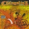 14 Gun Salute - Don Changolini 4000 lyrics