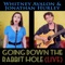 Going Down the Rabbit Hole - Whitney Avalon & Jonathan Hurley lyrics