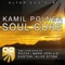 Soul Cure (Rozza's Cured Remix) - Kamil Polner lyrics