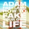 How To Fake Your Own Life (Om Unit Remix) - Adam Freeland lyrics