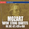 Mozarteum Quartet Salzburg - Mozart, String Quartet No. 15 in D Minor, K. 421: I. Allegro moderato