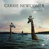 Carrie Newcomer - Every Little Bit of It