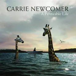 A Permeable Life - Carrie Newcomer
