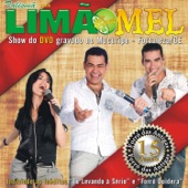 Show Ao Vivo Do DVD - 15  Anos artwork