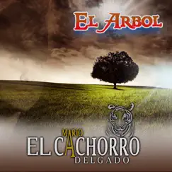 El Árbol Song Lyrics