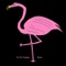 Let the Smoke Clear - The Pink Flamingos lyrics