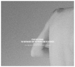 Silver Sparkle Attraction