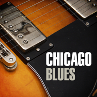 Various Artists - Chicago Blues artwork