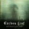 Oi - Carbon Leaf lyrics