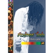 Tributo a Peter Tosh artwork