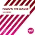 Follow the Leader (R.N. Remix) - Single album cover