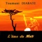 L'âme du Mali, pt. 2 - Toumani Diabaté lyrics