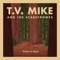 Safe and Sound - T.V. Mike and the Scarecrowes lyrics