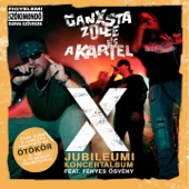 X (Jubileumi Koncertalbum) artwork