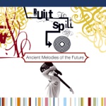 Built to Spill - Trimmed and Burning