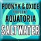 Saltwater (Morning Breeze Remix) - Poonyk & Oxide lyrics