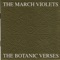 Steam - The March Violets lyrics