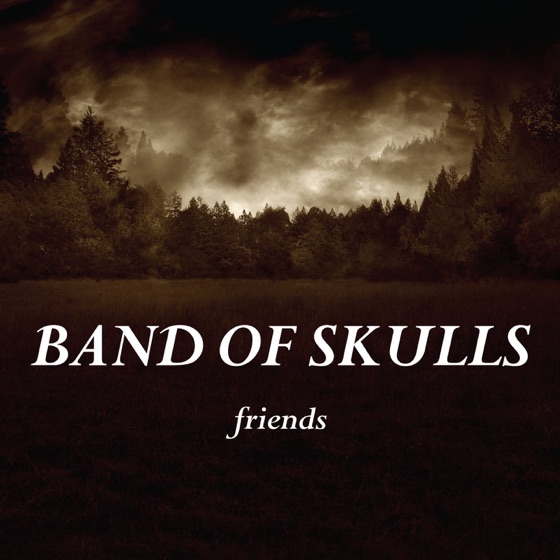 Cover artwork for Friends (From "the Twilight Saga: New Moon")