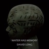 Water Has Memory